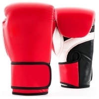 Punch Bag Mitts 